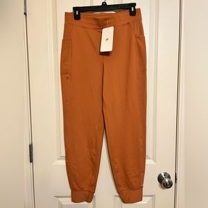 Fabletics Cold Weather Joggers